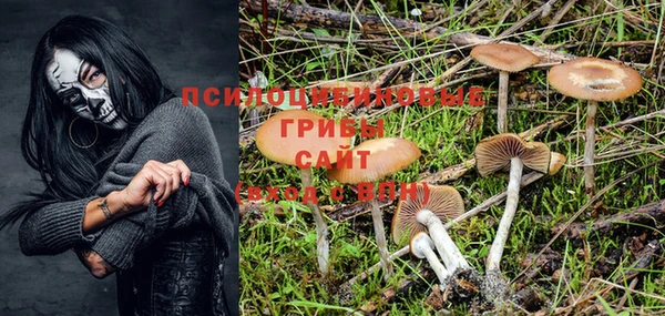 a pvp Богданович