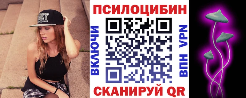 Псилоцибиновые грибы Psilocybe  сколько стоит  Володарск 